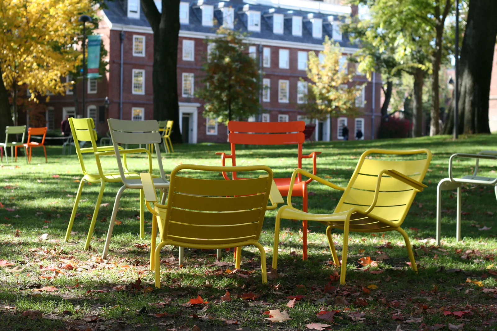Harvard Yard’da sonbahar ağaçları altında renkli sandalyeler, Tim Sackton, 2009