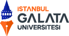 İstanbul Galata Üniversitesi — DijitalPi referansı